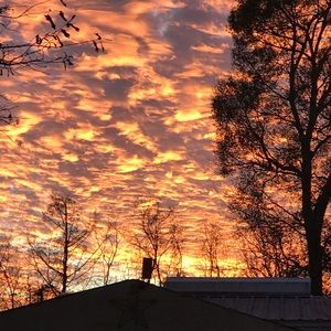 Meet your Posher, Sheryl